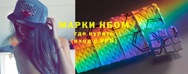 прущие грибы Богданович