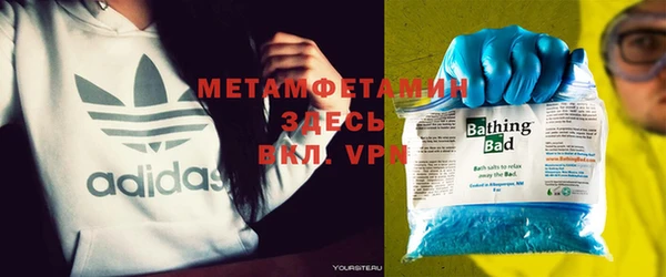 прущие грибы Богданович