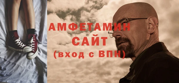 прущие грибы Богданович