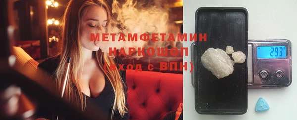 прущие грибы Богданович