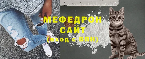прущие грибы Богданович