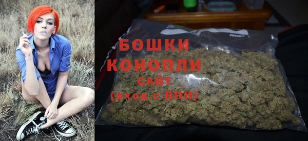 2c-b Богородск