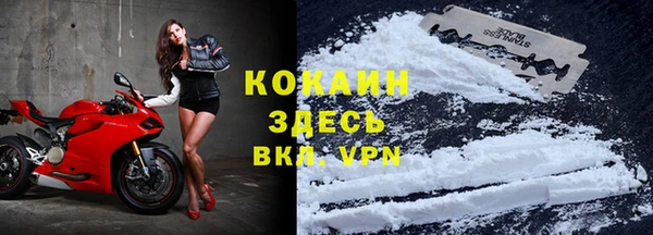 прущие грибы Богданович