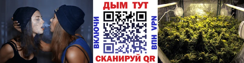 Марихуана White Widow Купить где Всеволожск
